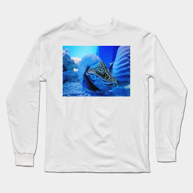 chambered nautilus, nautilidae, mollusk, nautilus, nautilus pompilius, nautilus shell, ammonite, ammonoidea, ammonites, mollusca, molluscs, shell, cephalopod, nudibranch, nudibranch Long Sleeve T-Shirt by souvenirscape